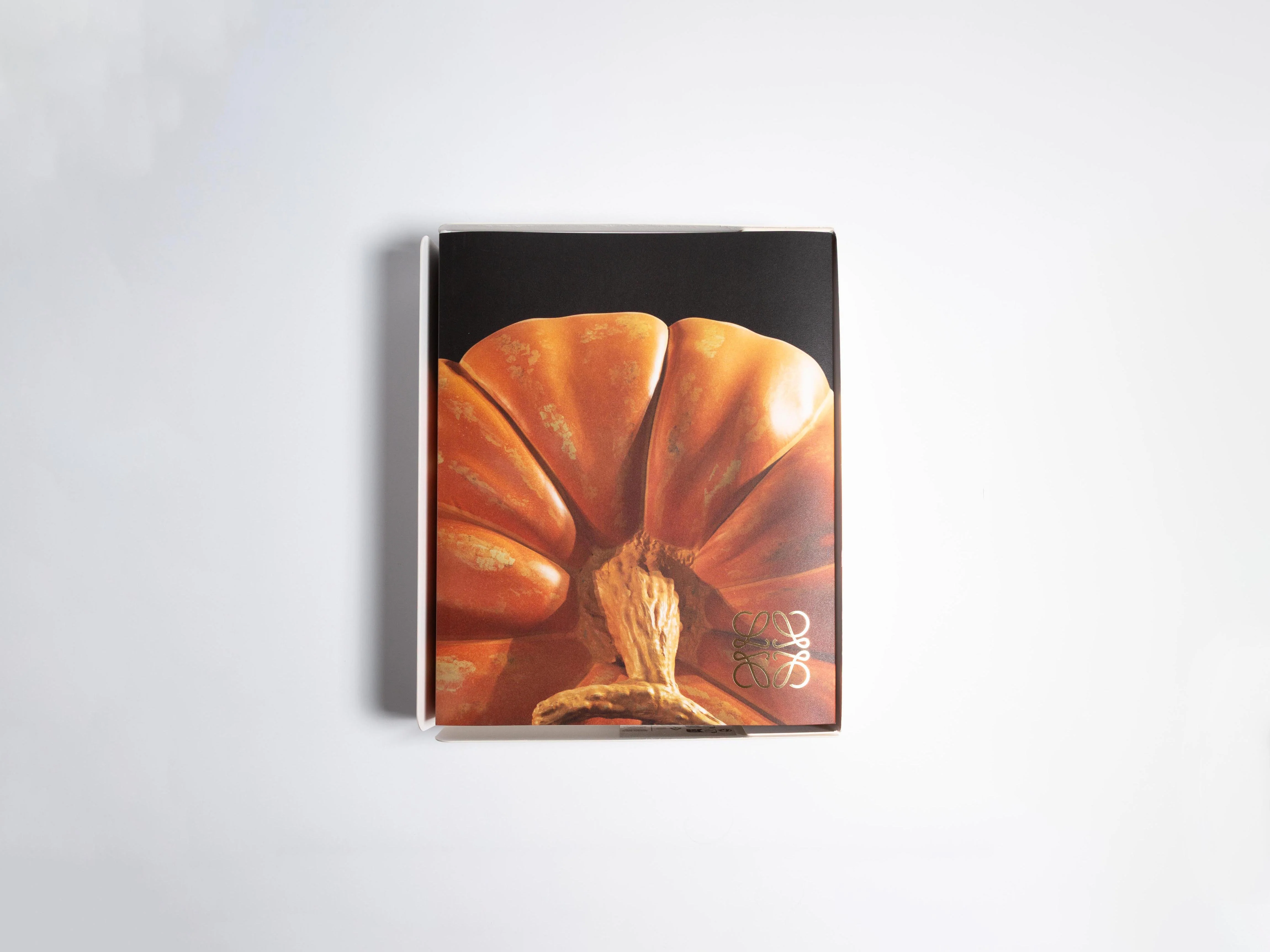 CRAFTED WORLD: JONATHAN ANDERSONS LOEWE