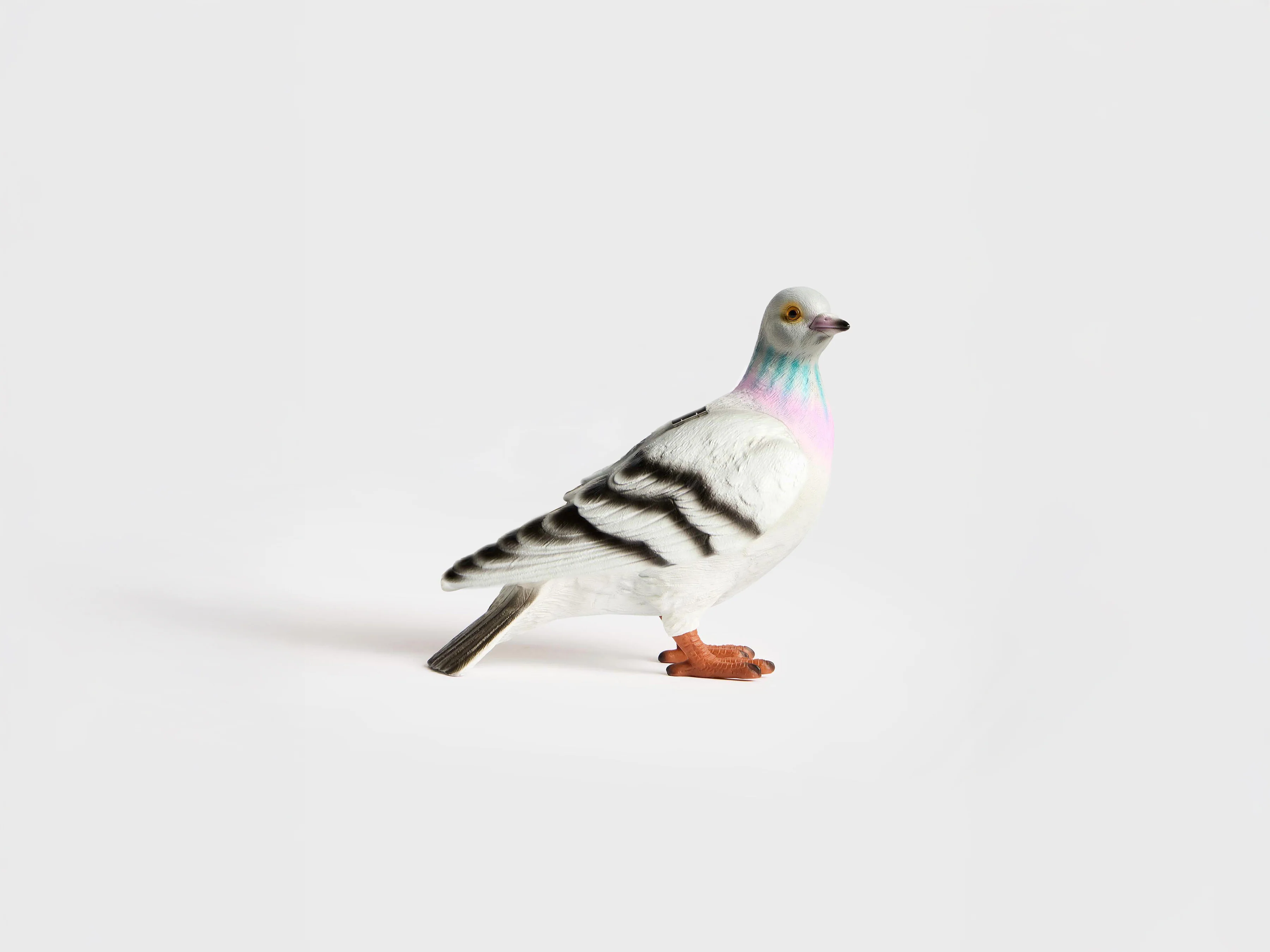 PIGEON CLUTCH IN GREY - Image 7